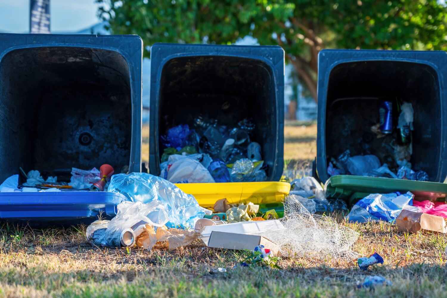 Best Yard Waste Removal  in Newark, TX